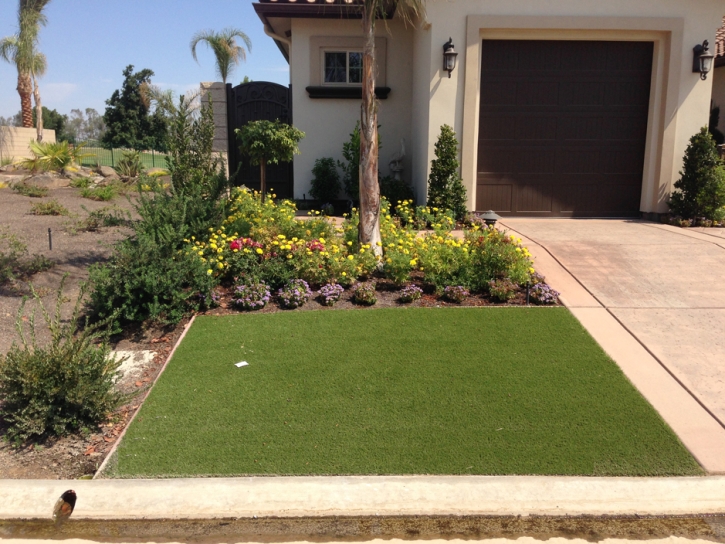 Plastic Grass Campo Bonito, Arizona Landscape Photos, Front Yard Landscaping Ideas