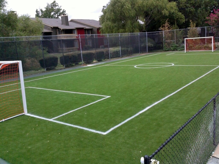 Plastic Grass Morenci, Arizona Stadium, Commercial Landscape