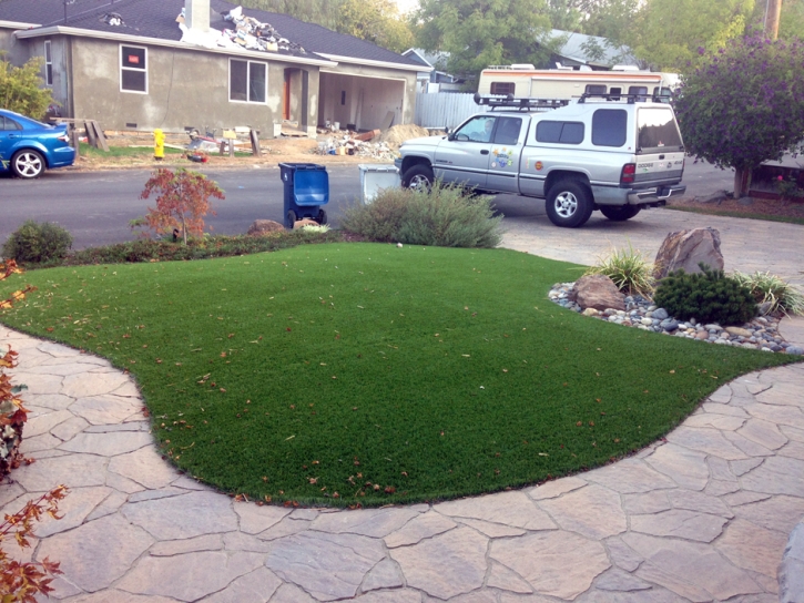 Synthetic Grass Cost Big Park, Arizona Gardeners, Front Yard Ideas