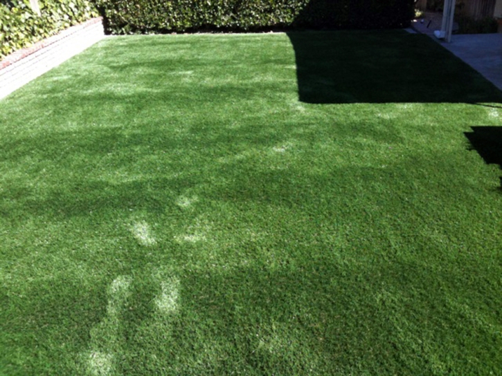 Synthetic Grass Cost Camp Verde, Arizona Indoor Dog Park, Beautiful Backyards