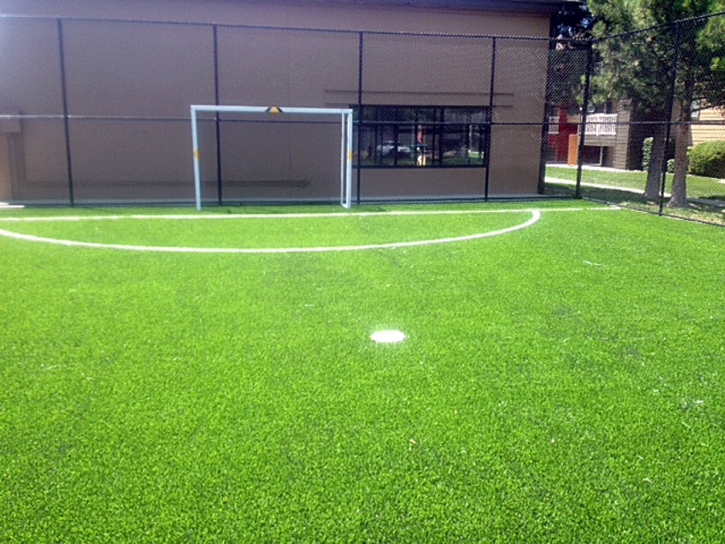 Synthetic Grass Cost Campo Bonito, Arizona Garden Ideas