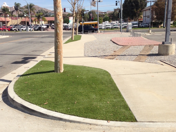 Synthetic Grass Cost Woodruff, Arizona Landscaping, Commercial Landscape