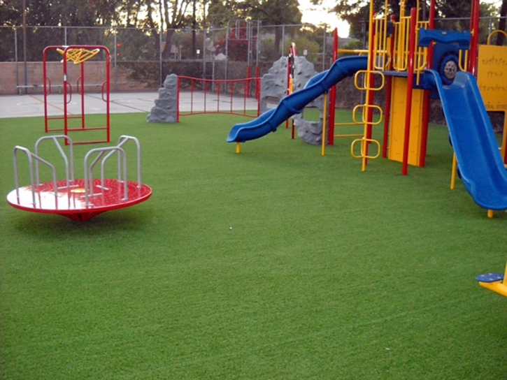 Synthetic Grass Dateland, Arizona Lawns, Parks