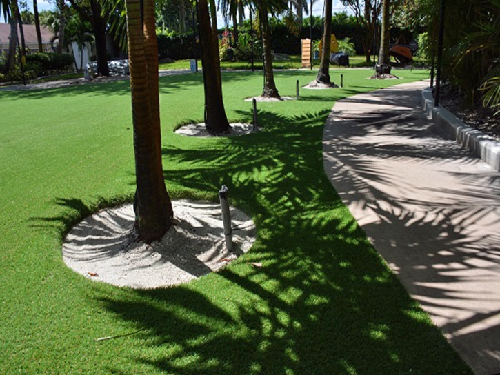 Synthetic Lawn Douglas, Arizona Watch Dogs, Commercial Landscape