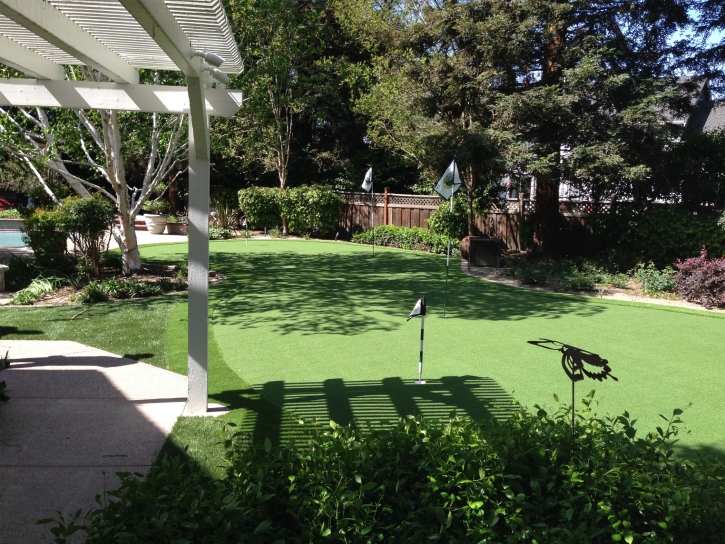 Synthetic Lawn LeChee, Arizona Garden Ideas