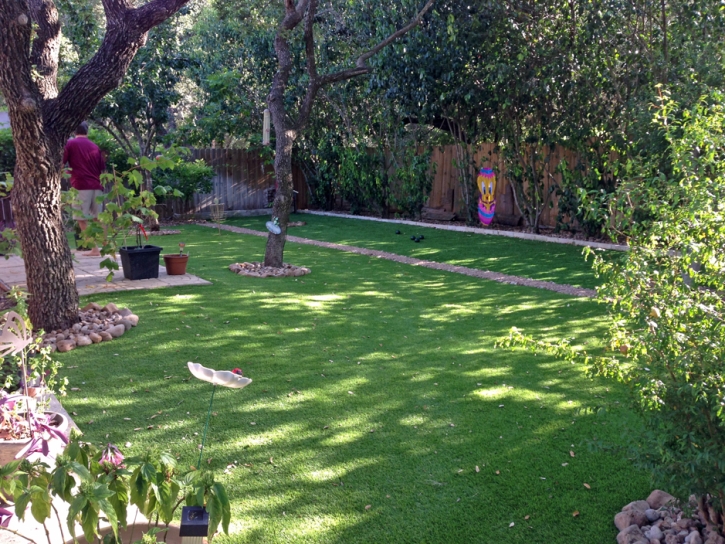 Synthetic Lawn Picacho, Arizona Lawn And Garden, Backyard Landscaping Ideas