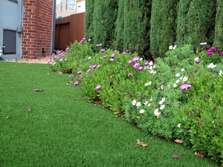 Synthetic Lawn Scottsdale, Arizona Landscape Photos, Front Yard Landscaping