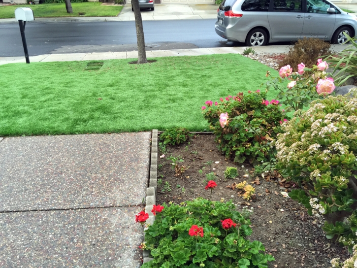 Synthetic Turf Bylas, Arizona Rooftop, Landscaping Ideas For Front Yard