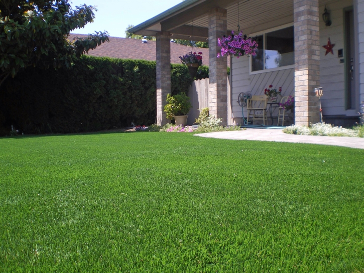 Synthetic Turf Snowflake, Arizona Design Ideas, Front Yard