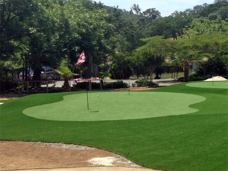 Synthetic Turf Supplier Cedar Creek, Arizona Indoor Putting Greens, Small Front Yard Landscaping