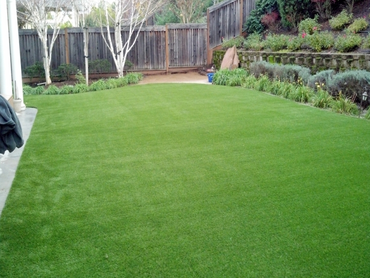 Synthetic Turf Supplier Chino Valley, Arizona Landscape Ideas, Backyard Designs