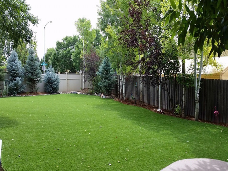 Turf Grass Clifton, Arizona Landscape Design, Backyard Design