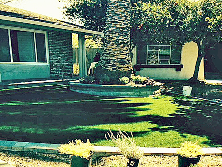Turf Grass Rio Rico, Arizona Backyard Playground, Small Front Yard Landscaping