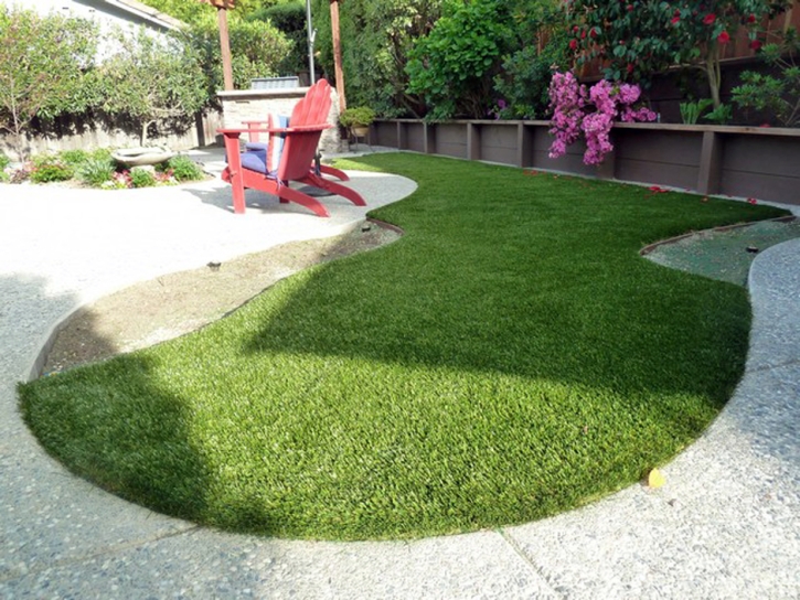 Turf Grass Yarnell, Arizona Indoor Dog Park, Backyard Designs